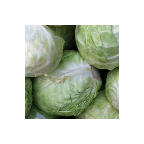 Cabbage Muttaigose 500g