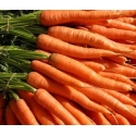 Carrot Approx. 1kg Carrot Approx. 1kg