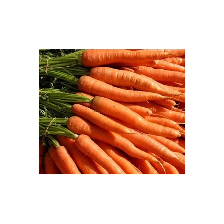 Carrot Approx. 500g