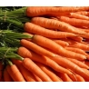 Carrot Approx. 500g