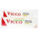 Vicco Herbal Toothpaste 100gm