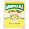 Amrutanjan Pain Balm 9 gm