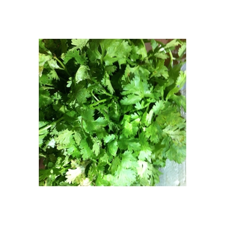 Coriander dhaniya malli leave 200g