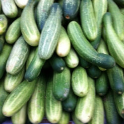 Cucumber 500g