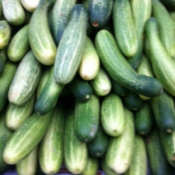 Cucumber Approx 1kg