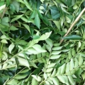 Curry leaves 50g