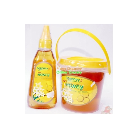 Polleney Pure Honey 380gm