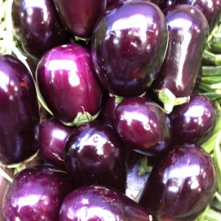 Egg Plant