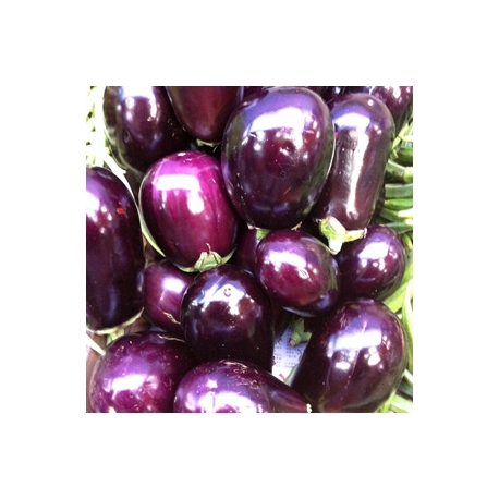 Egg Plant