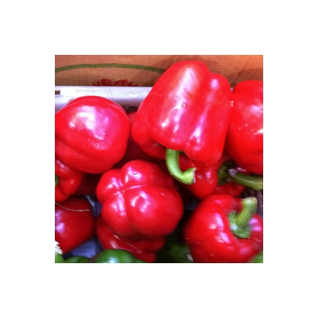 Red Capsicum 500g