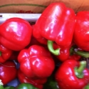 Red Capsicum 500g