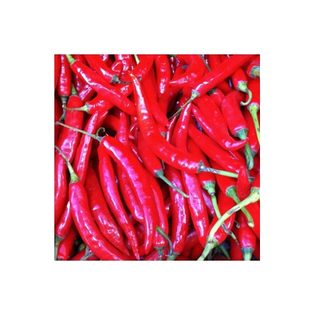 Big Red Chilli 200g