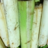 Banana tender Stem 1 Pcs