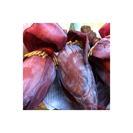 Banana Flower 1 Pcs