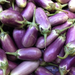 White - Purple Medium Brinjal 500g