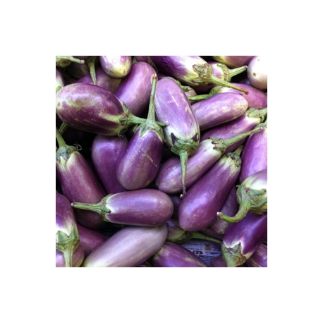 White - Purple Medium Brinjal 500g