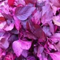 Local Purple Spinach 500g