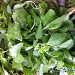 Malaysian Green spinach 500g