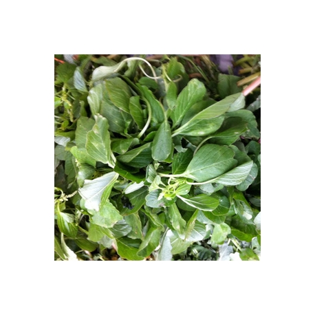 Malaysian Green spinach 500g