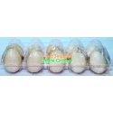 Fresh Egg No Cholestrol Fresh Egg No Cholestrol