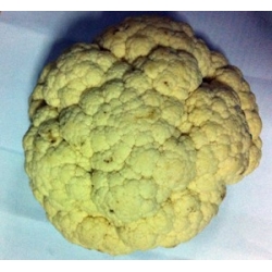 Cauliflower Approx 1kg