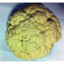 Cauliflower Approx 1kg Cauliflower Approx 1kg