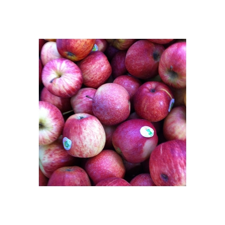 Fresh Red Juicy Apples