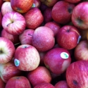 Fresh Red Juicy Apples Fresh Red Juicy Apples