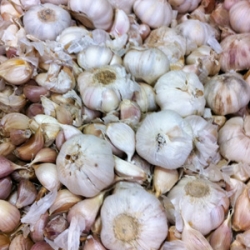 Garlic Poondu Whole 1 Pkt