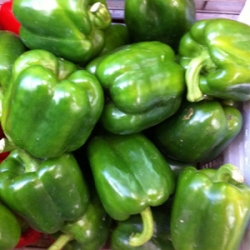 Green Capsicum 500g