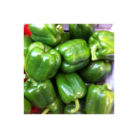 Green Capsicum 500g