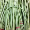 Long beans (boda/barbatti) 500g