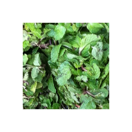 Mint Leaves Pudhina 100g