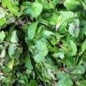 Mint Leaves Pudhina 100g