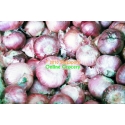 Onion India 1 Bag