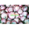 Onion India 1kg