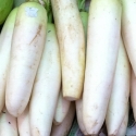 Raddish 500g Raddish 500g