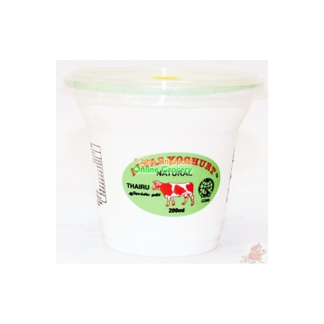 Alva's Yogurt 500g Cup Indian