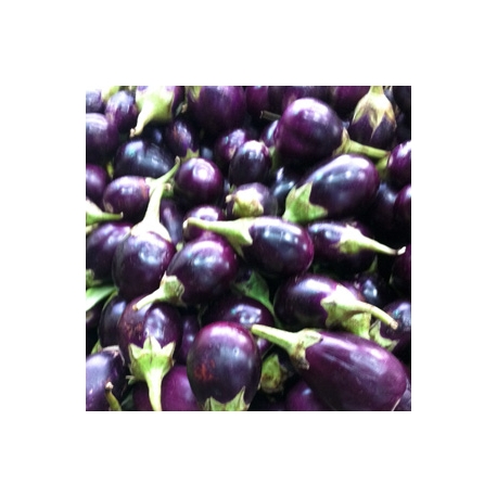 Purple Round Brinjal 500g