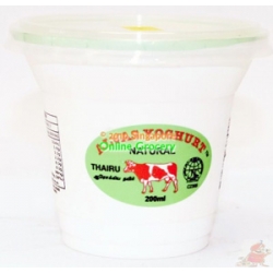 Alvas Yogurt Cup Indian