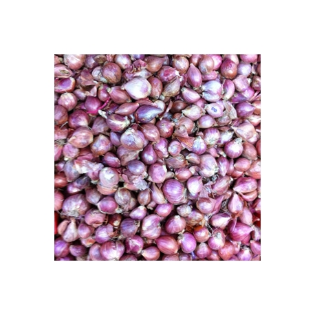 Shallots Small Onions 500g