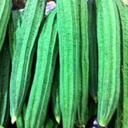 Snake Gourd 1Kg