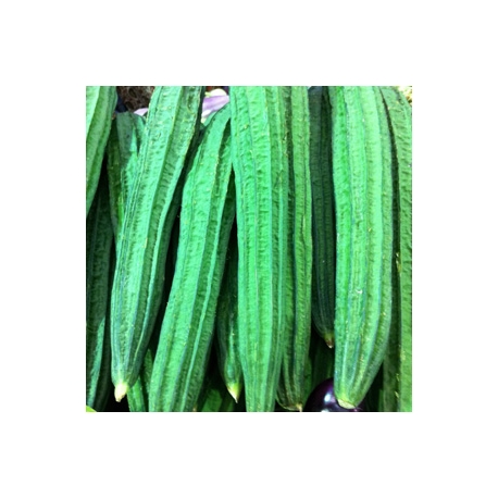 Snake Gourd 1Kg