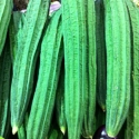 Snake Gourd 1Kg Snake Gourd 1Kg