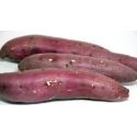 Sweet Potato 500g