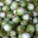 Thai brinjal 500g Thai brinjal 500g