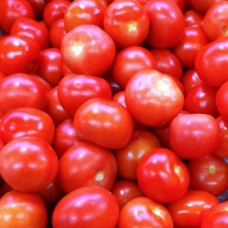 Tomato 1kg