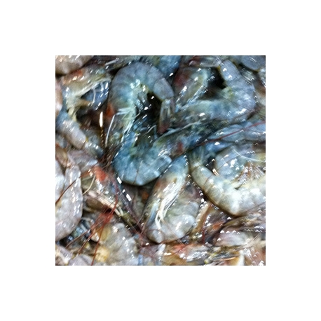 Black Prawn 1Kg (Medium Size )