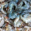 Black Prawn 1Kg (Medium Size )