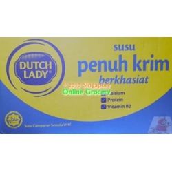 Dutch Lady Milk Carton 